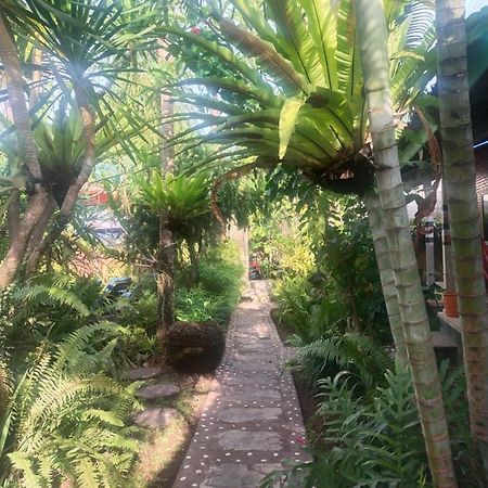 Comeback Guesthouse Canggu  Exterior photo