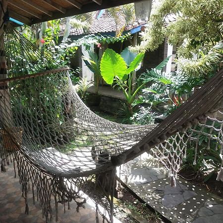 Comeback Guesthouse Canggu  Exterior photo