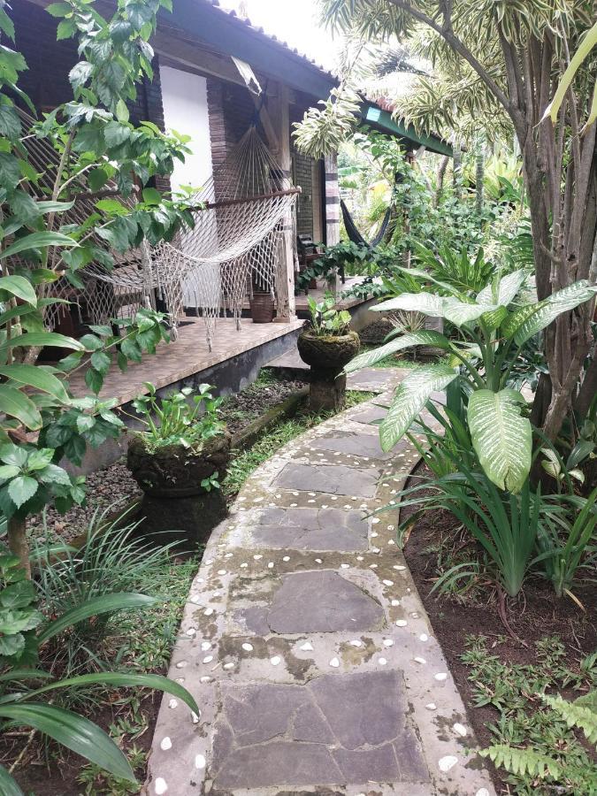 Comeback Guesthouse Canggu  Exterior photo