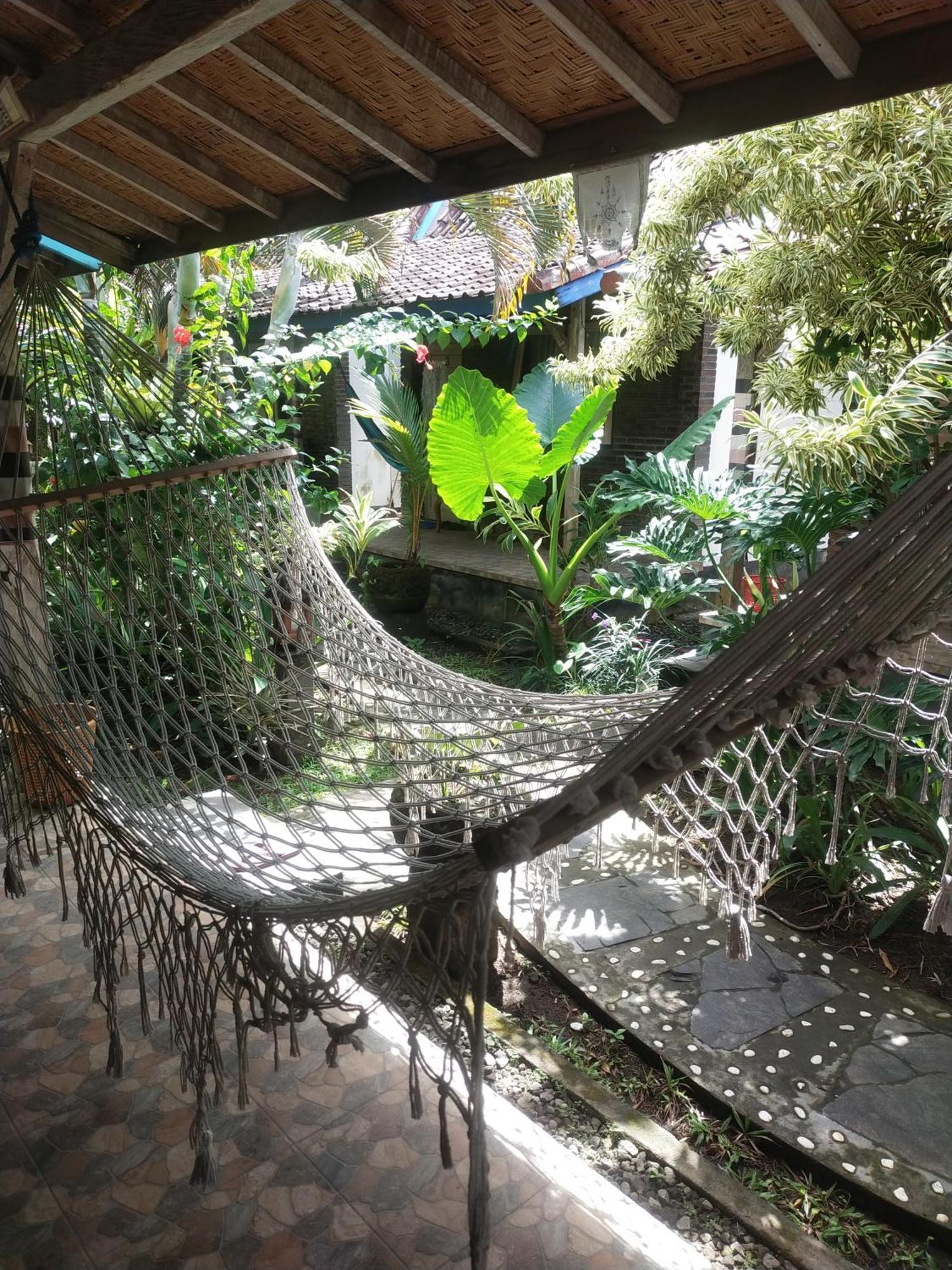 Comeback Guesthouse Canggu  Exterior photo