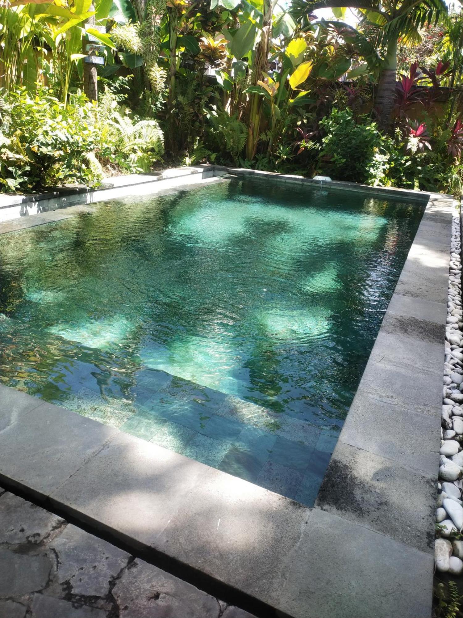 Comeback Guesthouse Canggu  Exterior photo