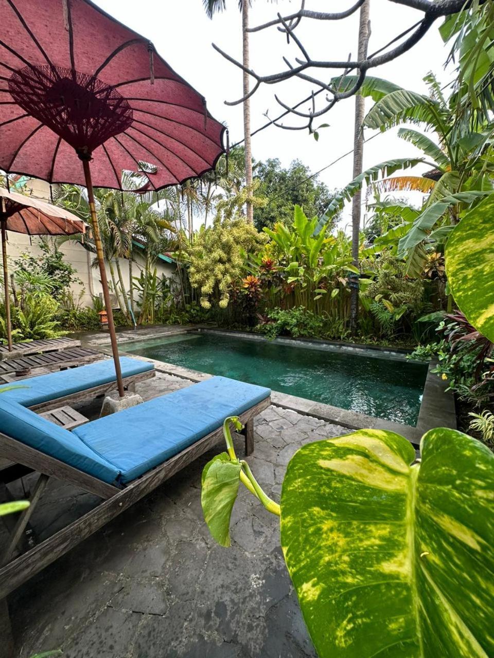 Comeback Guesthouse Canggu  Exterior photo