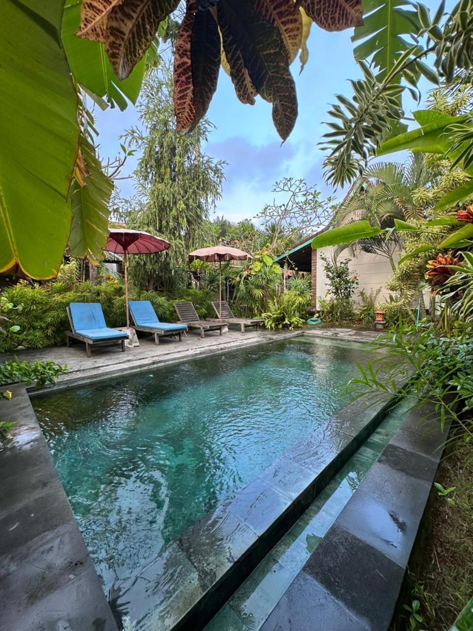 Comeback Guesthouse Canggu  Exterior photo
