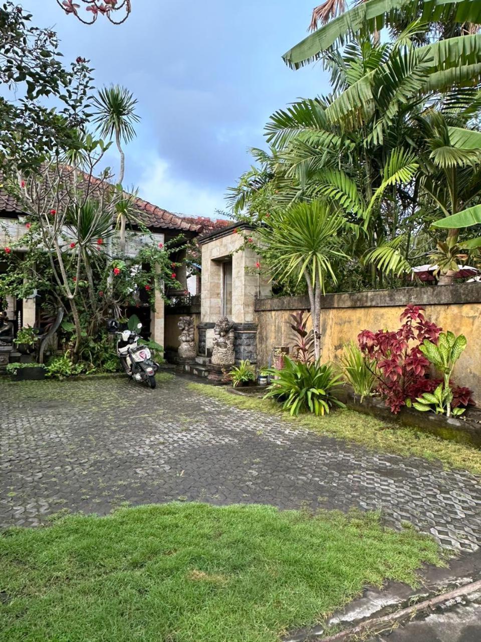 Comeback Guesthouse Canggu  Exterior photo